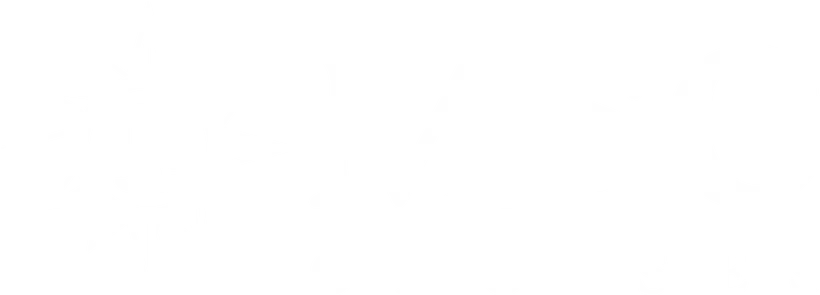  MSC Cruises 할인